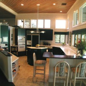 kitchen (232/345)